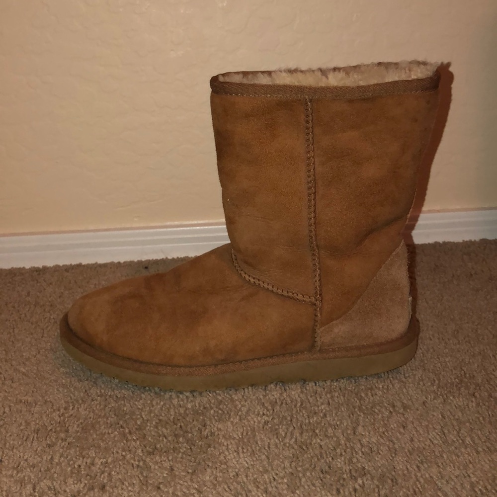 tan uggs